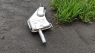 Глушитель VECTRA B (1995-2001) 20DTH, 22DTH дизель      